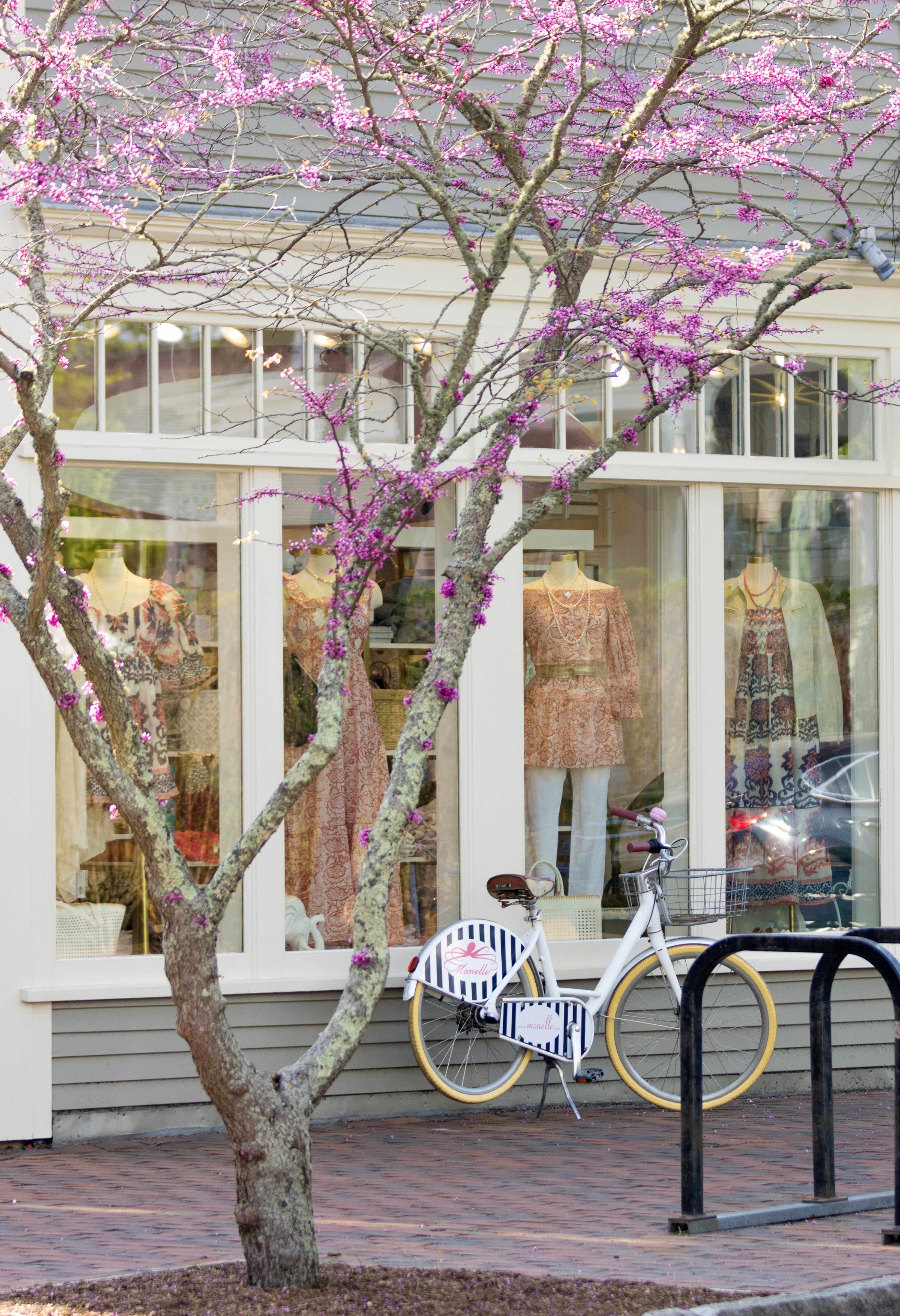 Spring Bike