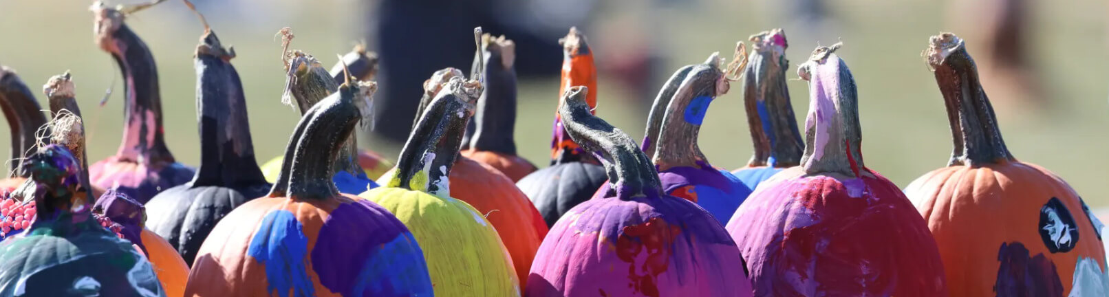 Fall Festival and Batacular