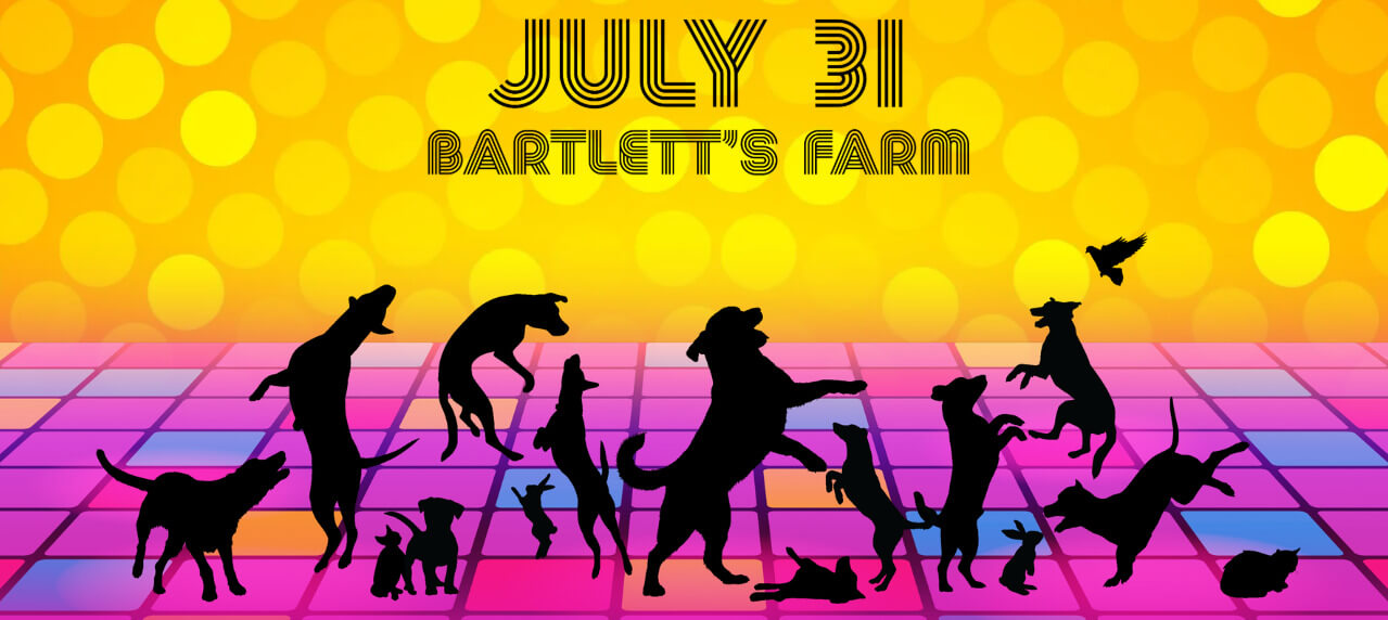 NiSHA Unleash the Disco