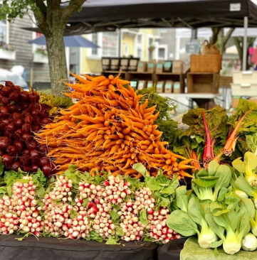 Sustainable Nantucket