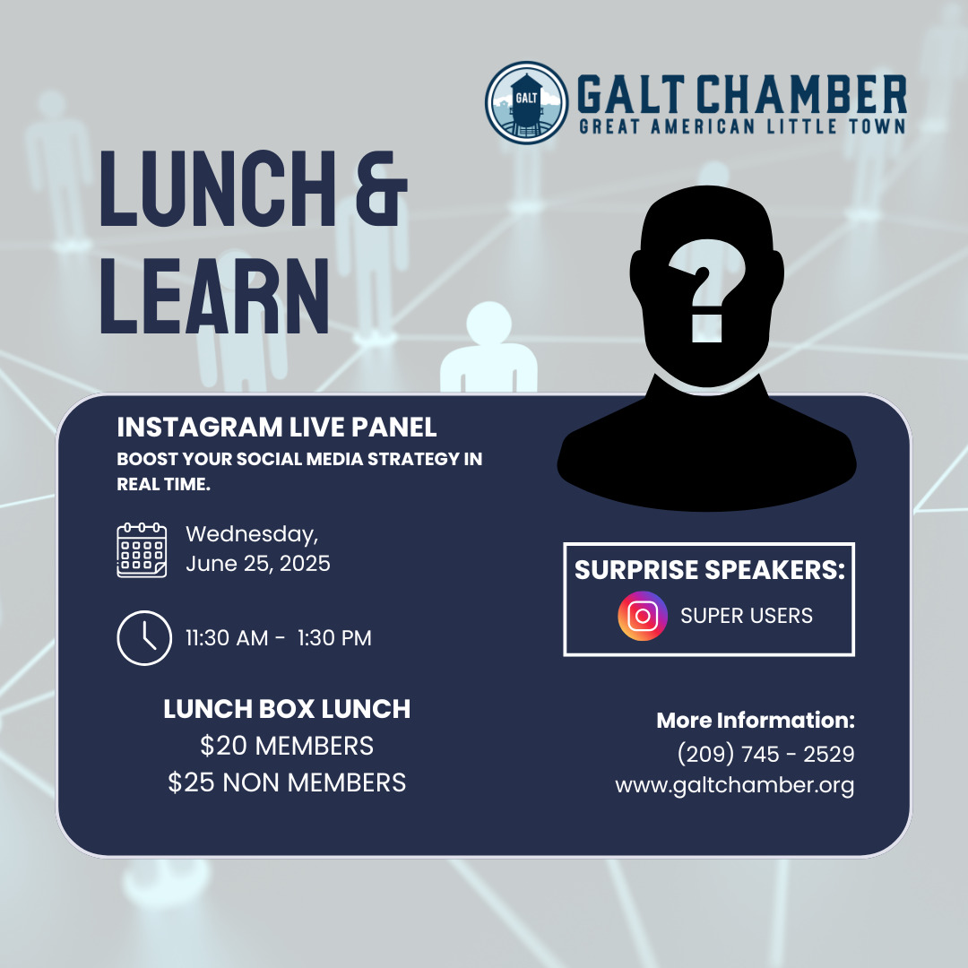Lunch &amp; Learn (12)