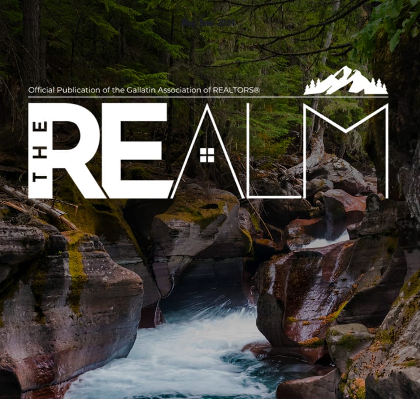 REalm Cover #3