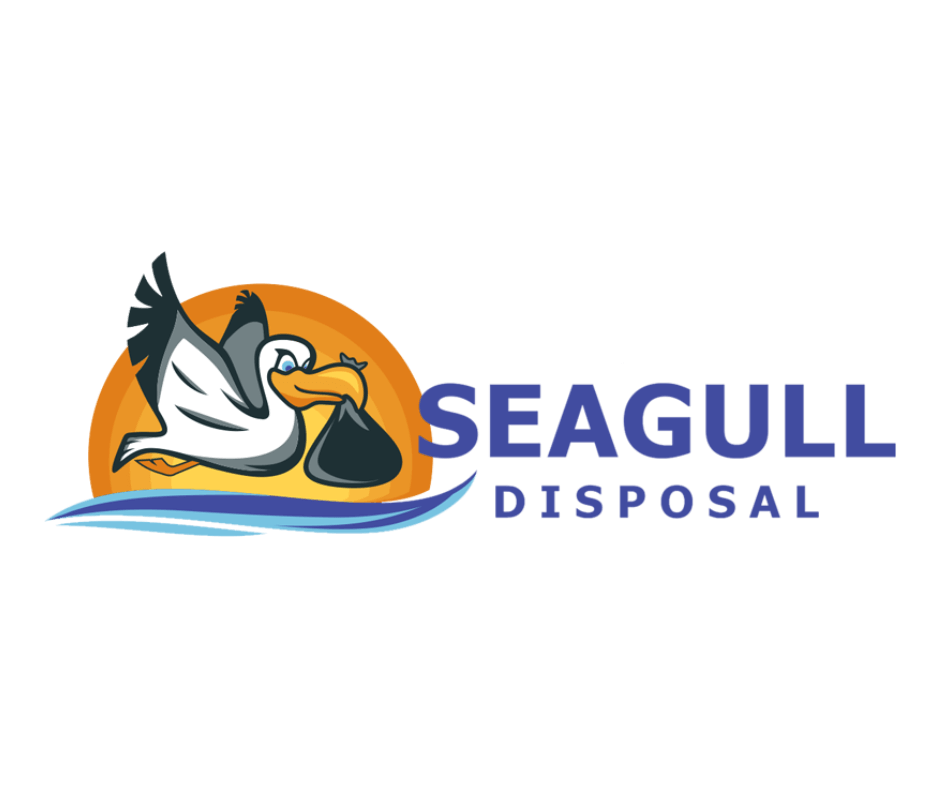 seagull