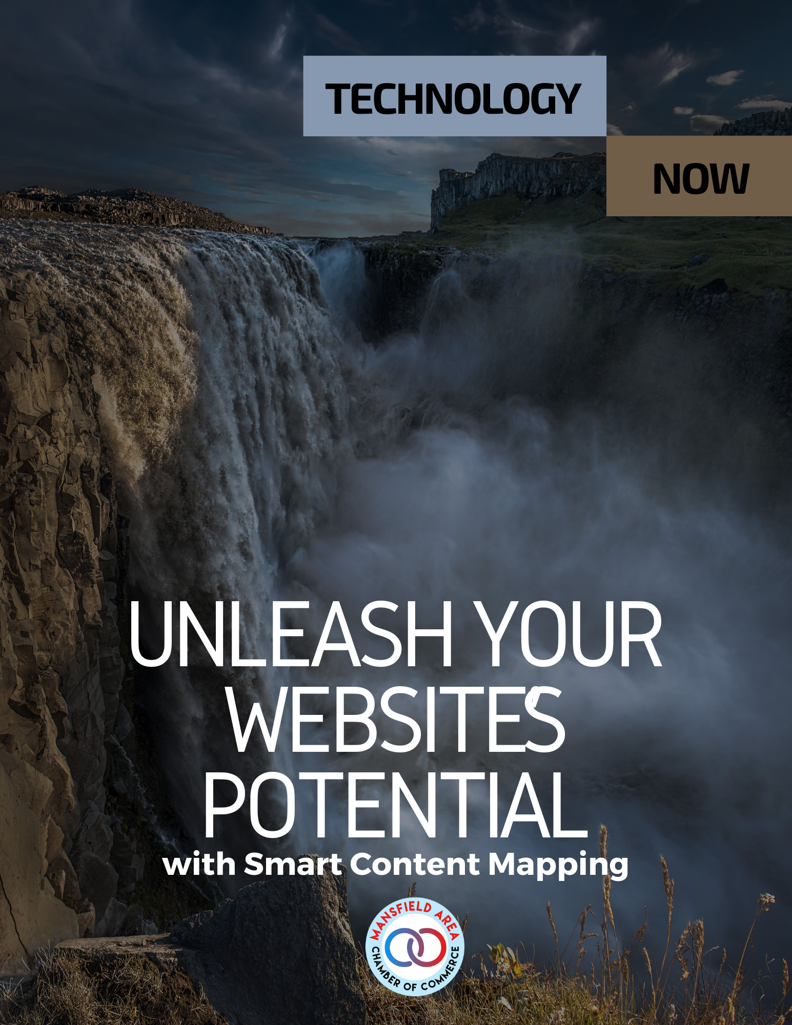 unleash your website’s potential