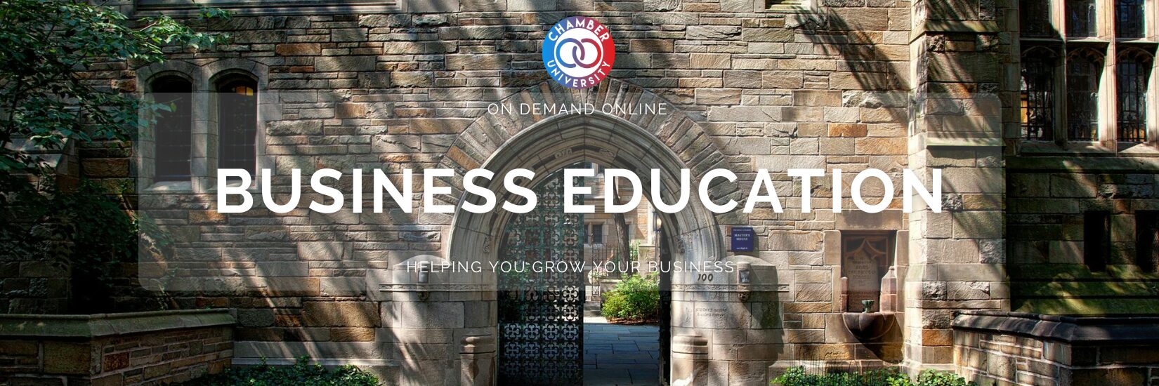 Black and White Business Professionals (1)