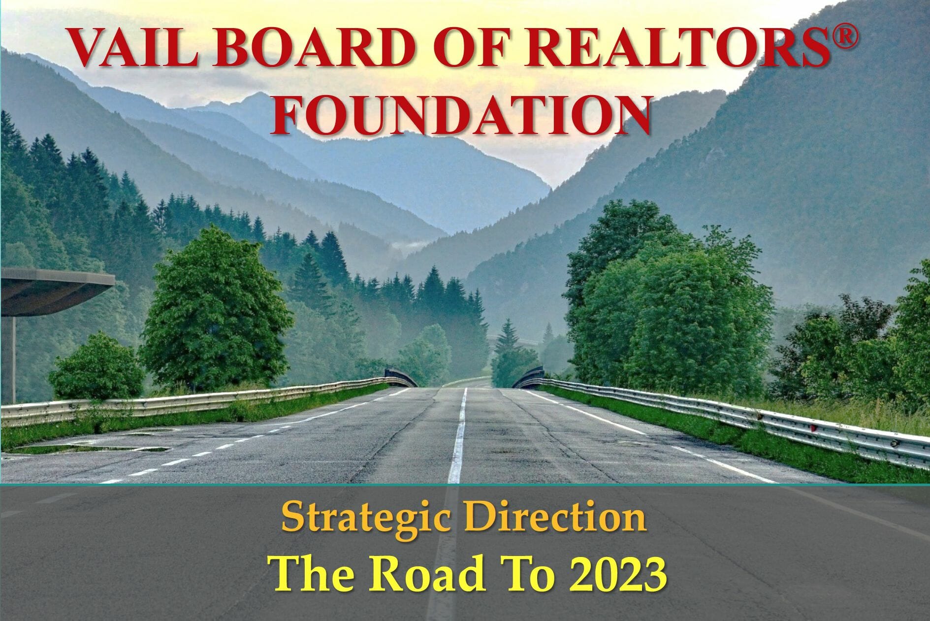 VBR Foundation Strategic Direction image