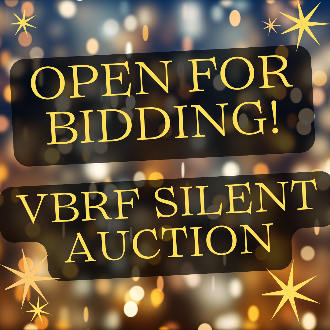 Item announcing the opening of the silent auction