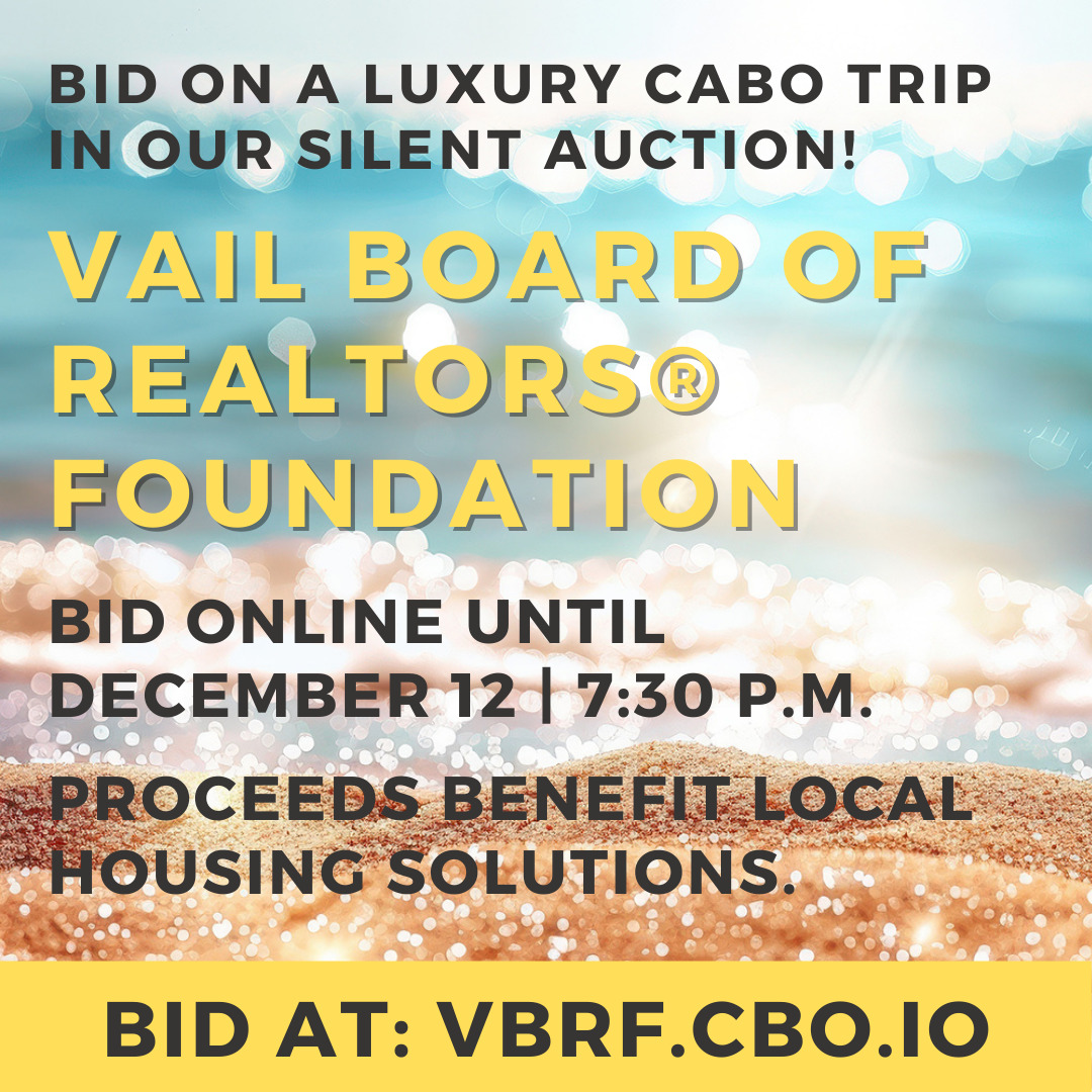 Image promoting VBRF's silent auction. Has a background photo of a beach.