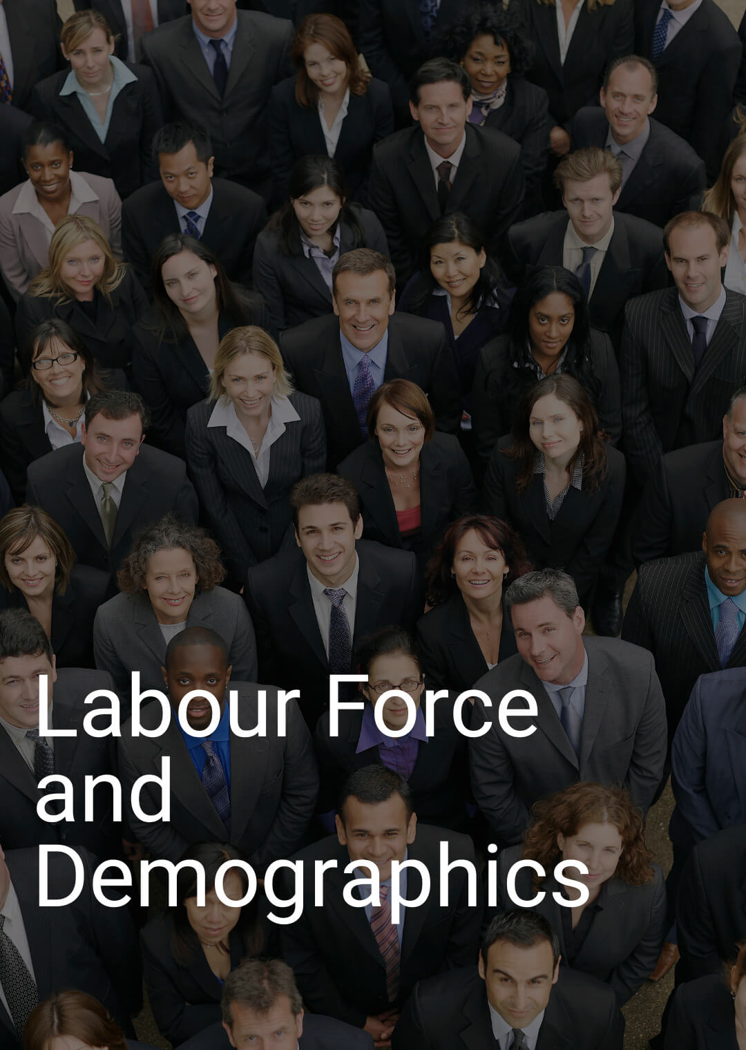 Labour Force and Demographics