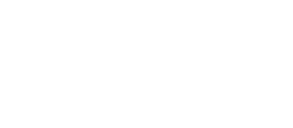 City of Burnaby White Logo