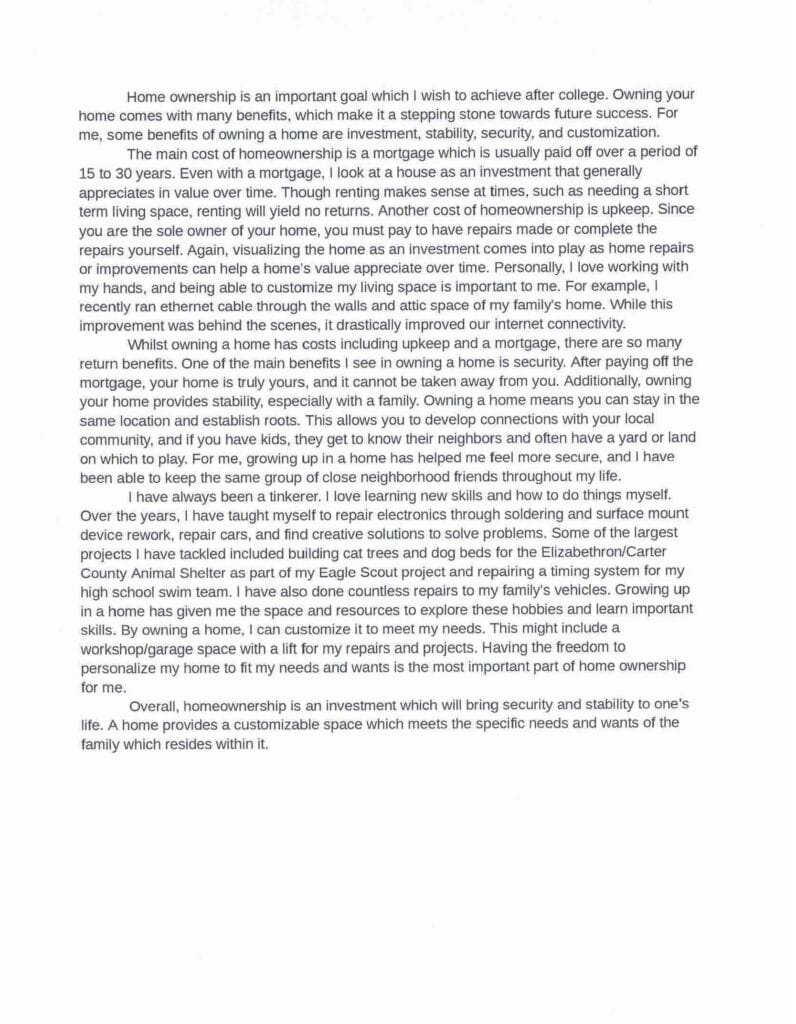 Essay 11