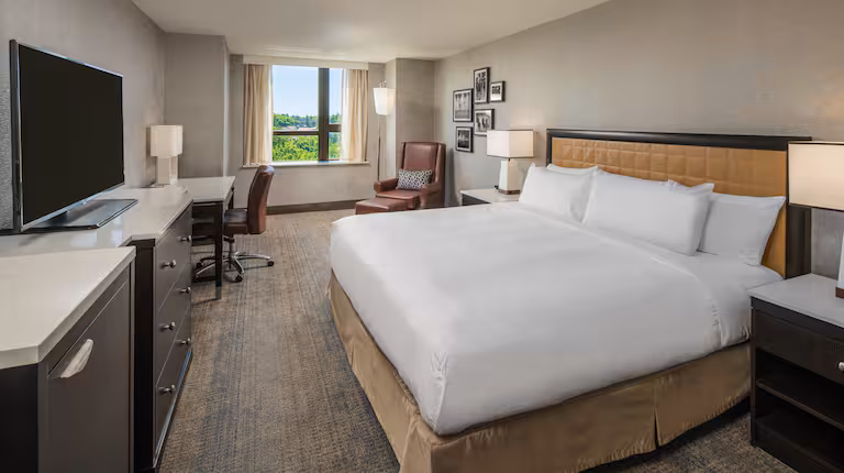 albsa-king-standard-room