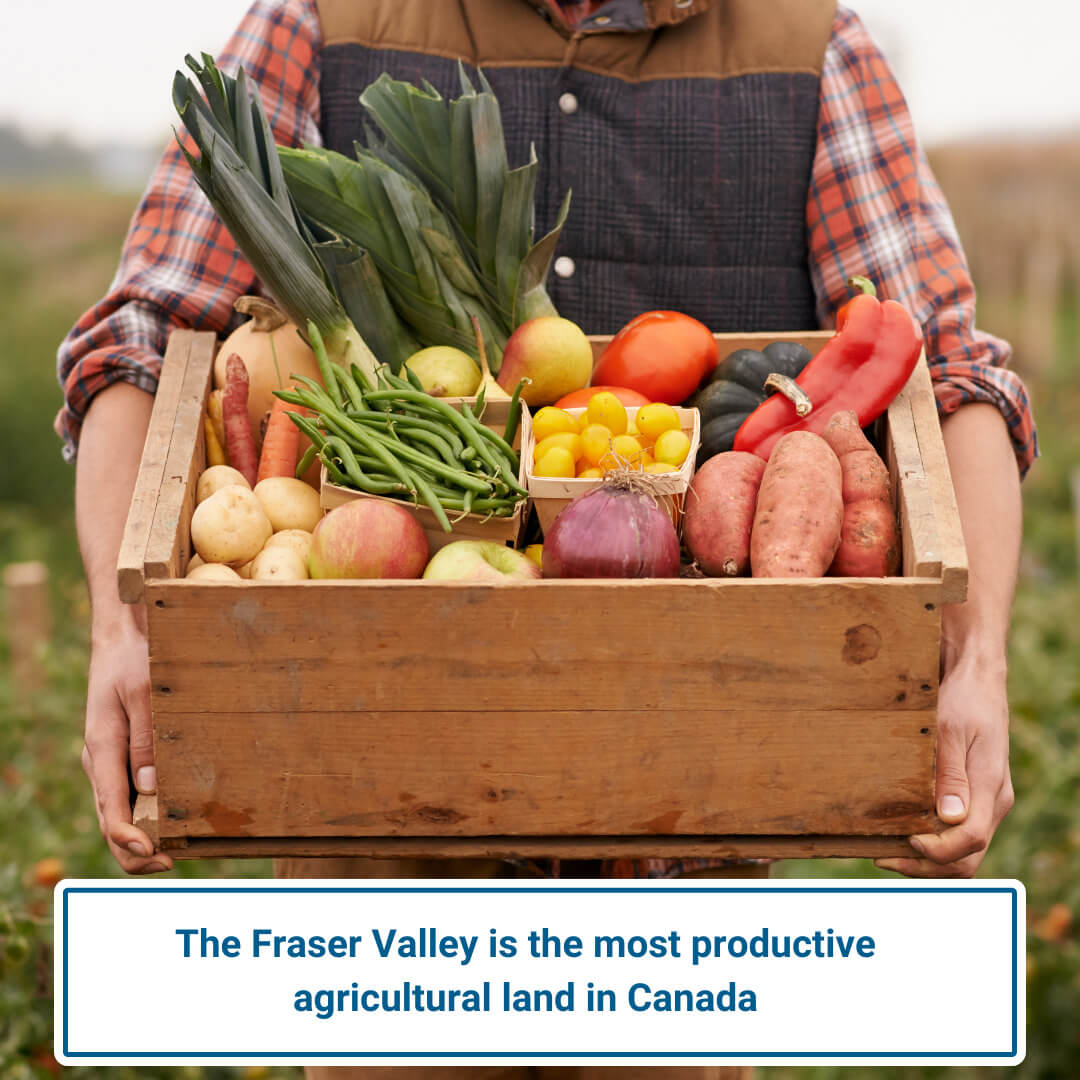 Canada's Food Security