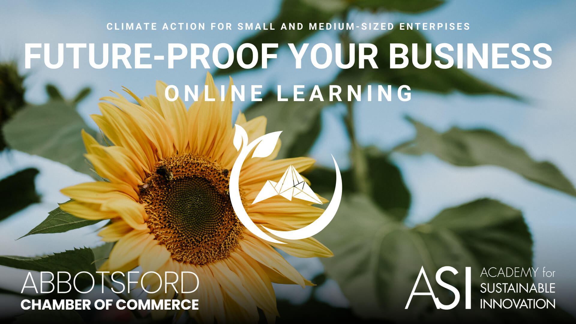 Online Learning Online Learning