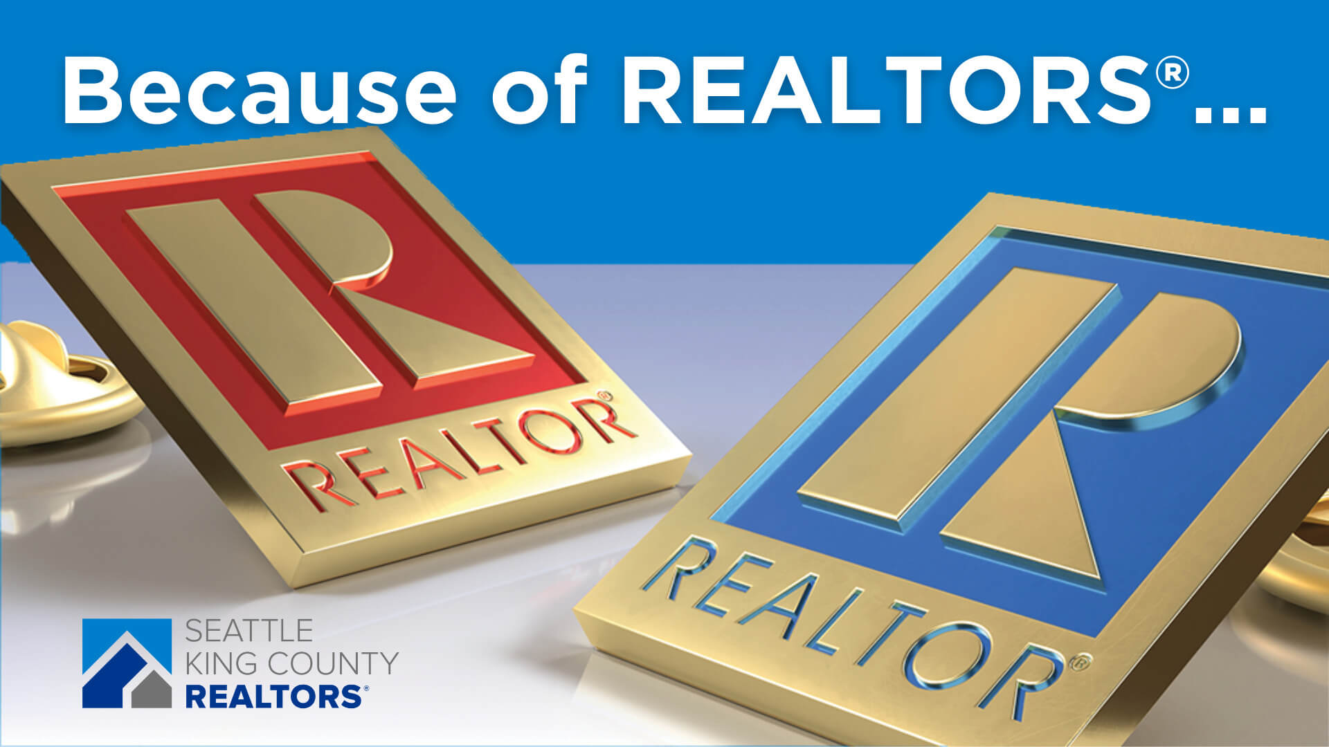 Because of REALTORS...