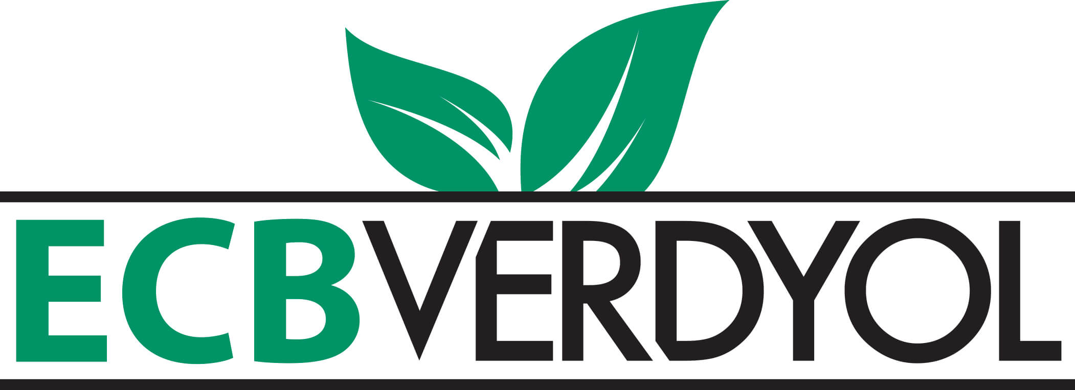 https://growthzonecmsprodeastus.azureedge.net/sites/926/2025/07/2b-ECBVerdyol-cmyk.jpg