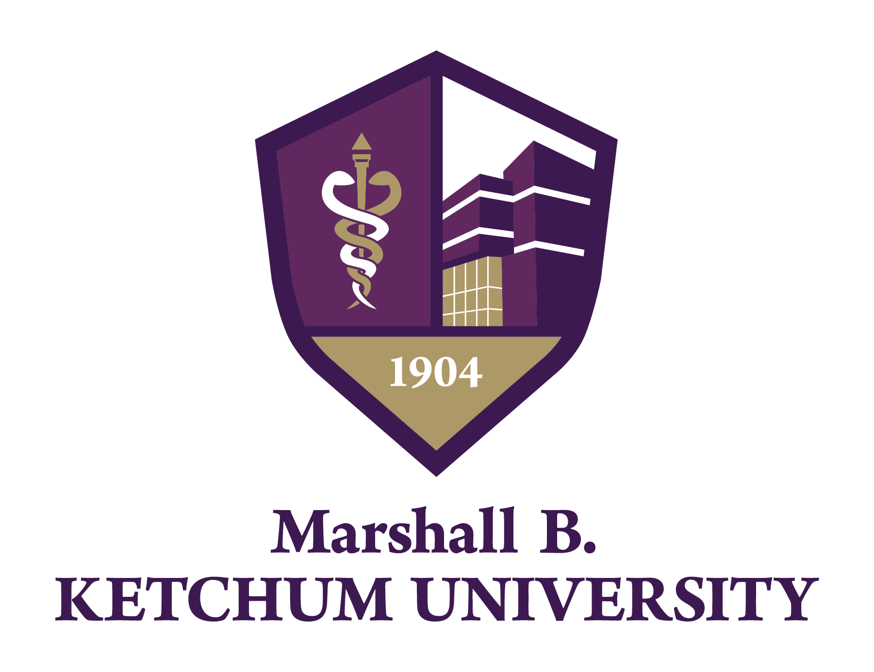 School Name 5 logo
