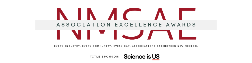 NMSAE - Association Excellence Awards Logo (Google FOrm Header)