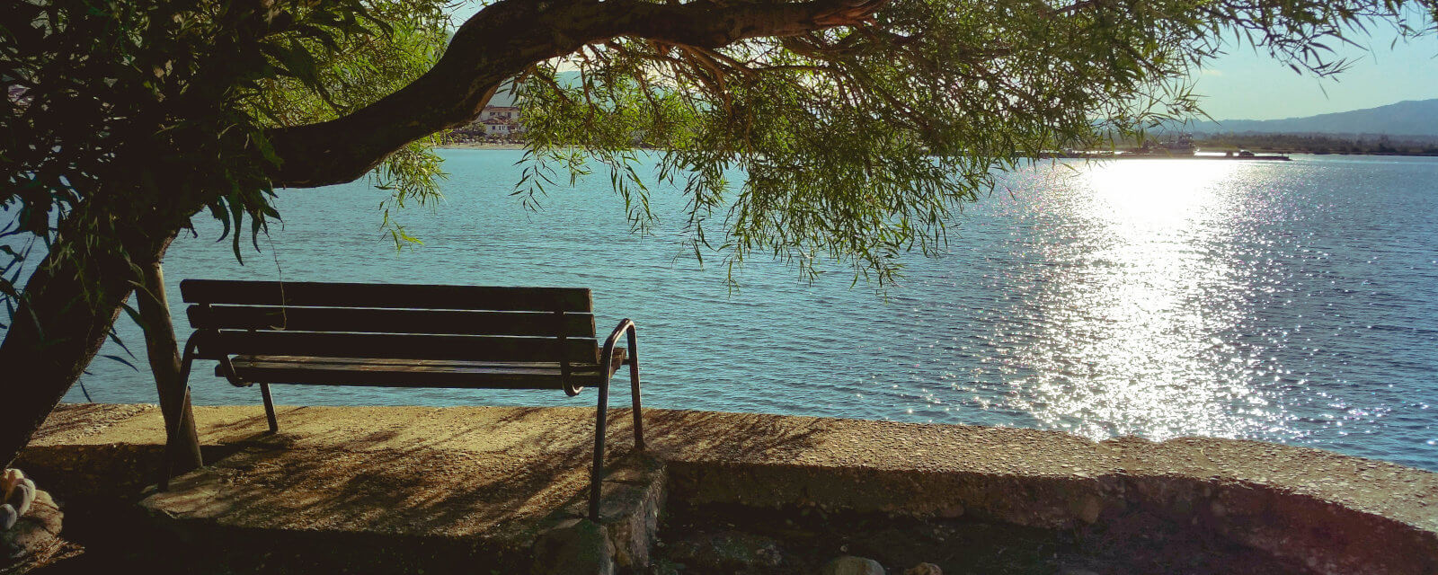 bench in front of lake