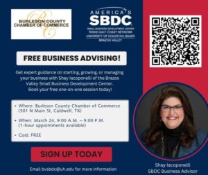 SBDC Business Advisng Flyer