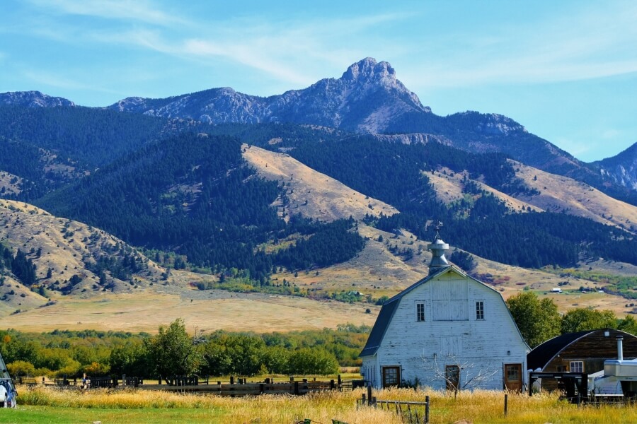 montana barn