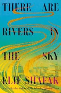 There are rivers in the sky book cover