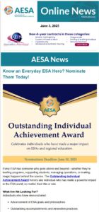 member newsletter preview