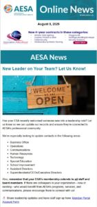 newsletter preview