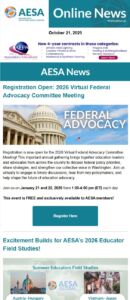 preview of member newsletter