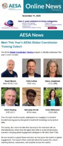 member newsletter preview