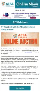 member newsletter preview