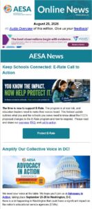 member newsletter preview