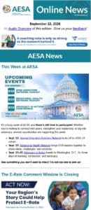 member newsletter preview