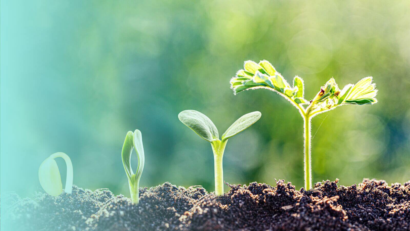 Growth Conversations