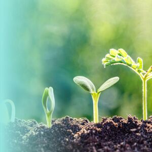 Growth Conversations