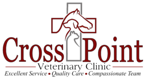 Cross-Point-Logo-Final-copy