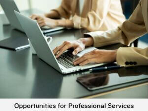 Opportunities for Professional Services Providers