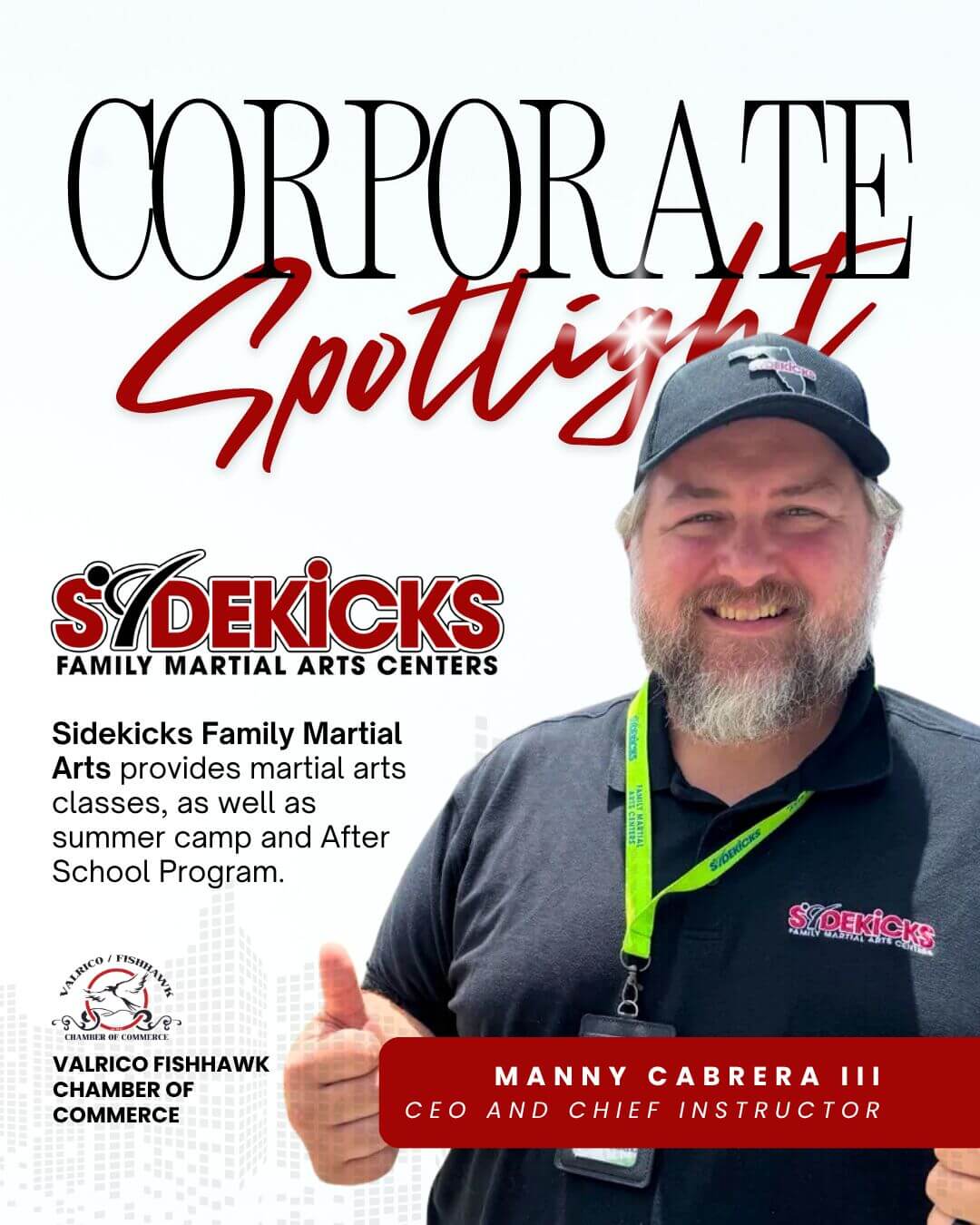 1 - Sidekicks