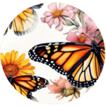 monarch3